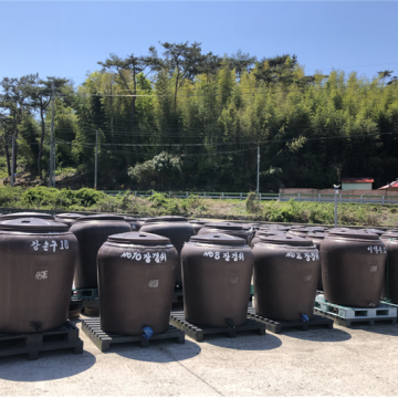 전도마을 멸치액젓 가공공장 항아리 전경